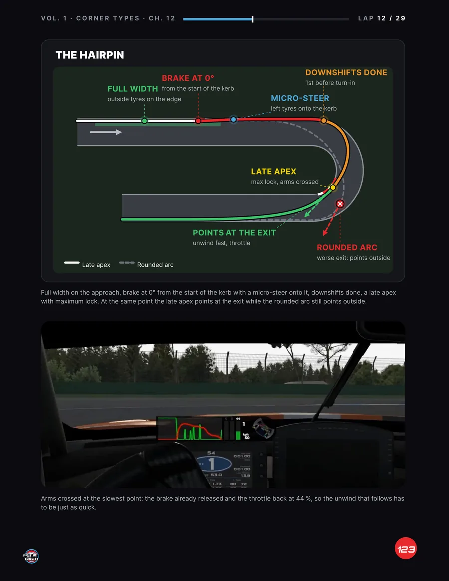 The hairpin: The Science of Sim Racing, page 123